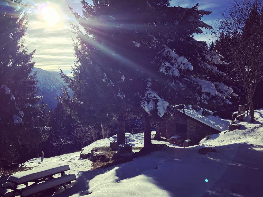 #rifugiopalampale#neve#ice#mountains#trekking#bestmountainartists#vallecamonica #valsaviore #volgolombardia #instanature#rifugilombardia #parcoadamello#volgobrescia ❄️❄️❄️❄️🔝💪🏼❤️