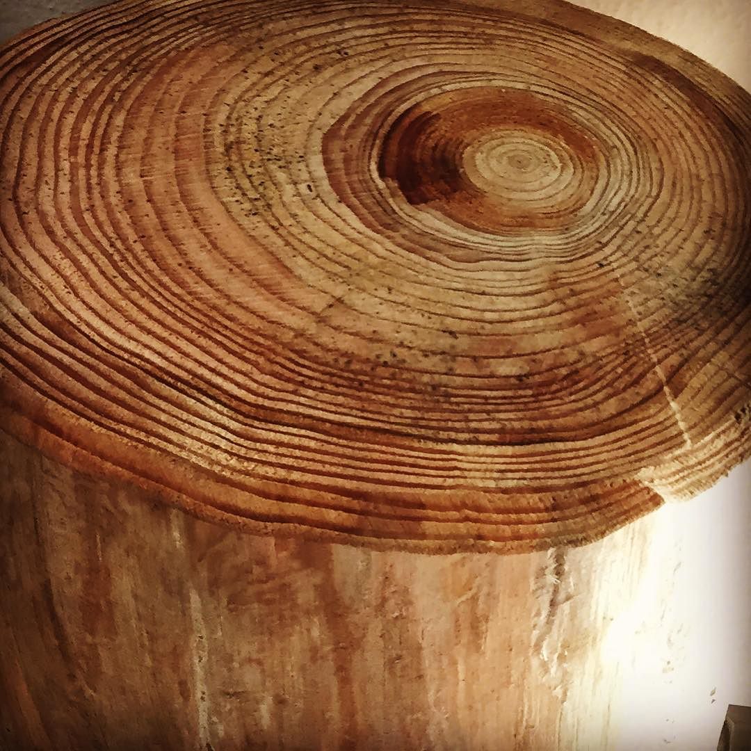 Lares #larix #larice #valcamonica #brescia #instapics #igersbrescia #igerbrescia #igerlombardia #rings #nature #nature_perfection #wood #picoftheday