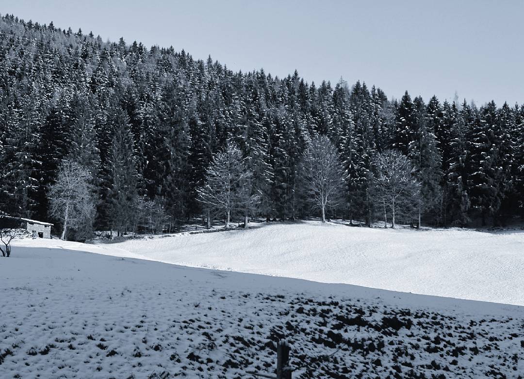 #Anvòia #Ossimo #snow #valcamonica #Valley #mountains #landscape #Wood
